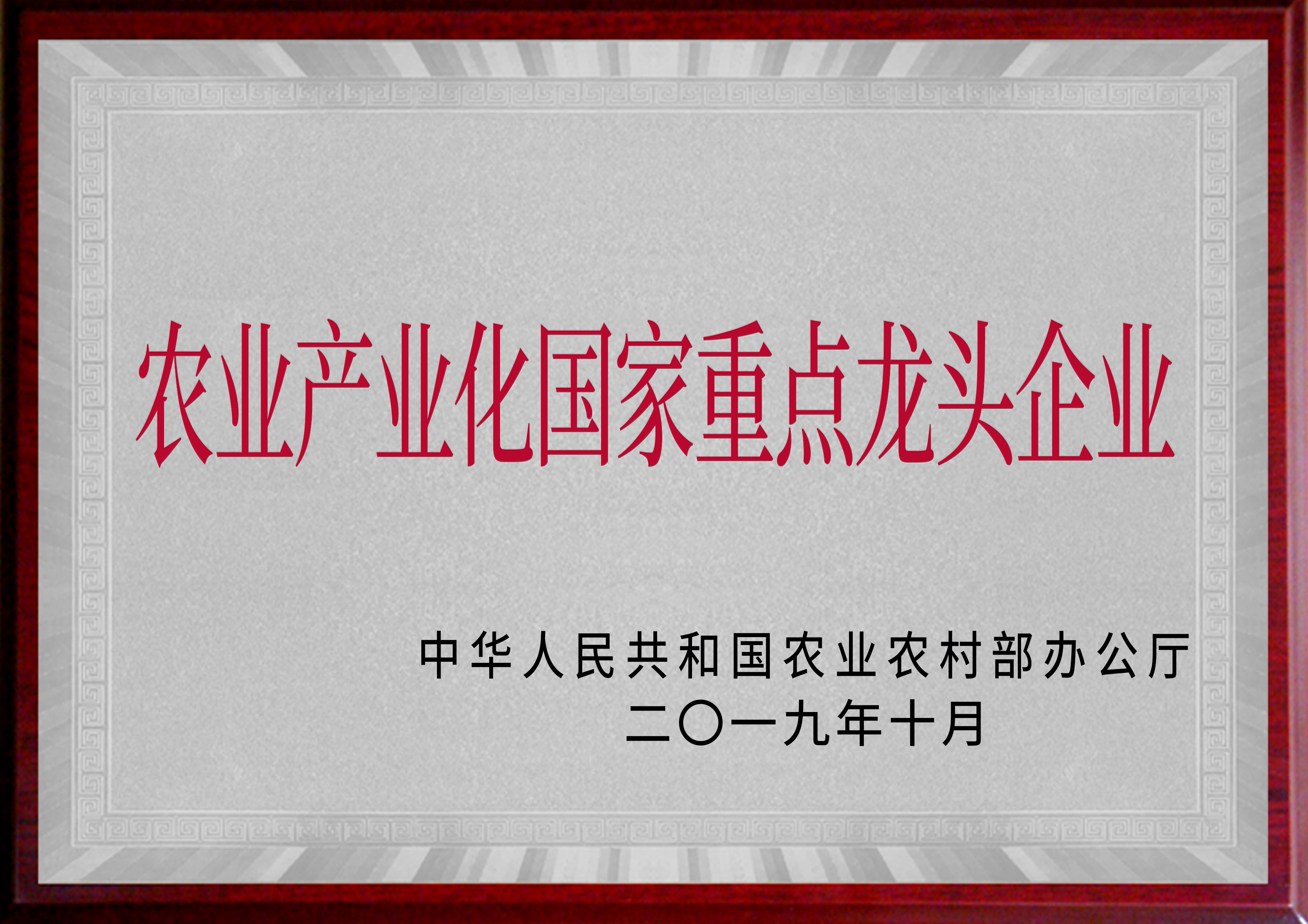 農業(yè)產業(yè)化國家重點龍頭企業(yè)