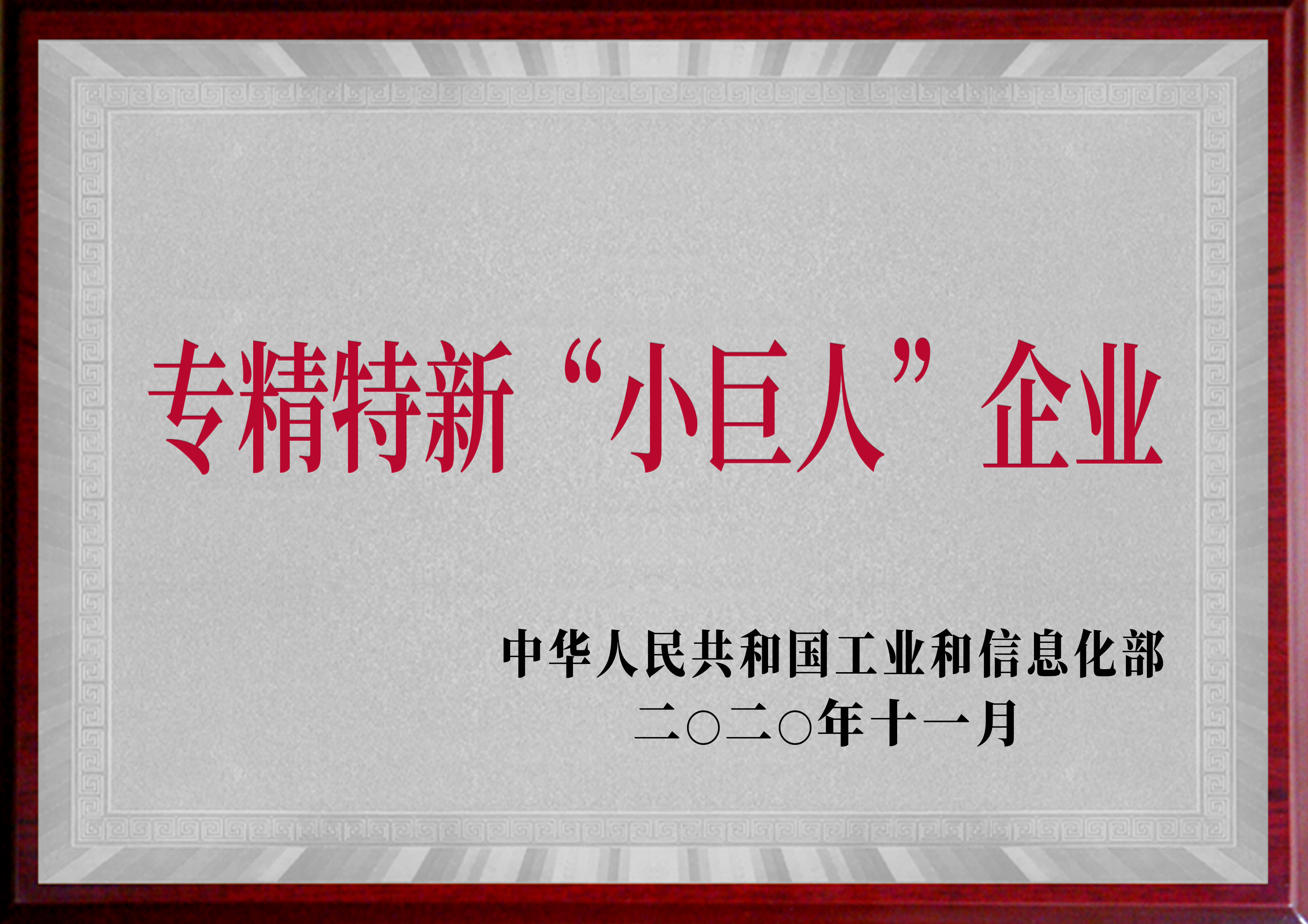 專精特新“小巨人”企業(yè)