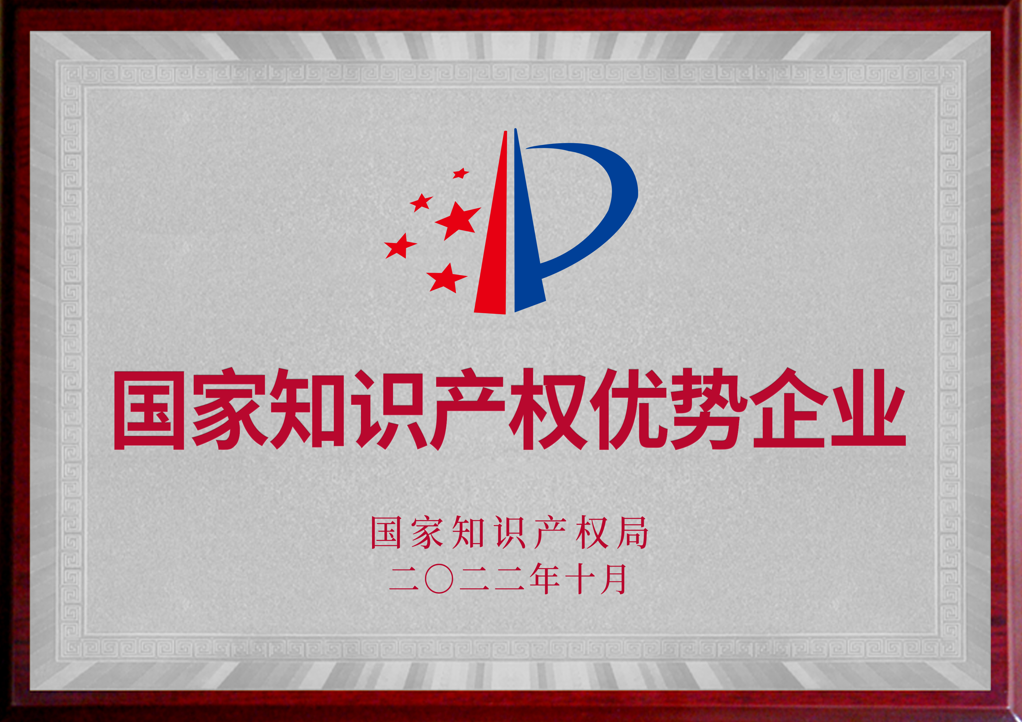 國家知識產權優(yōu)勢企業(yè)