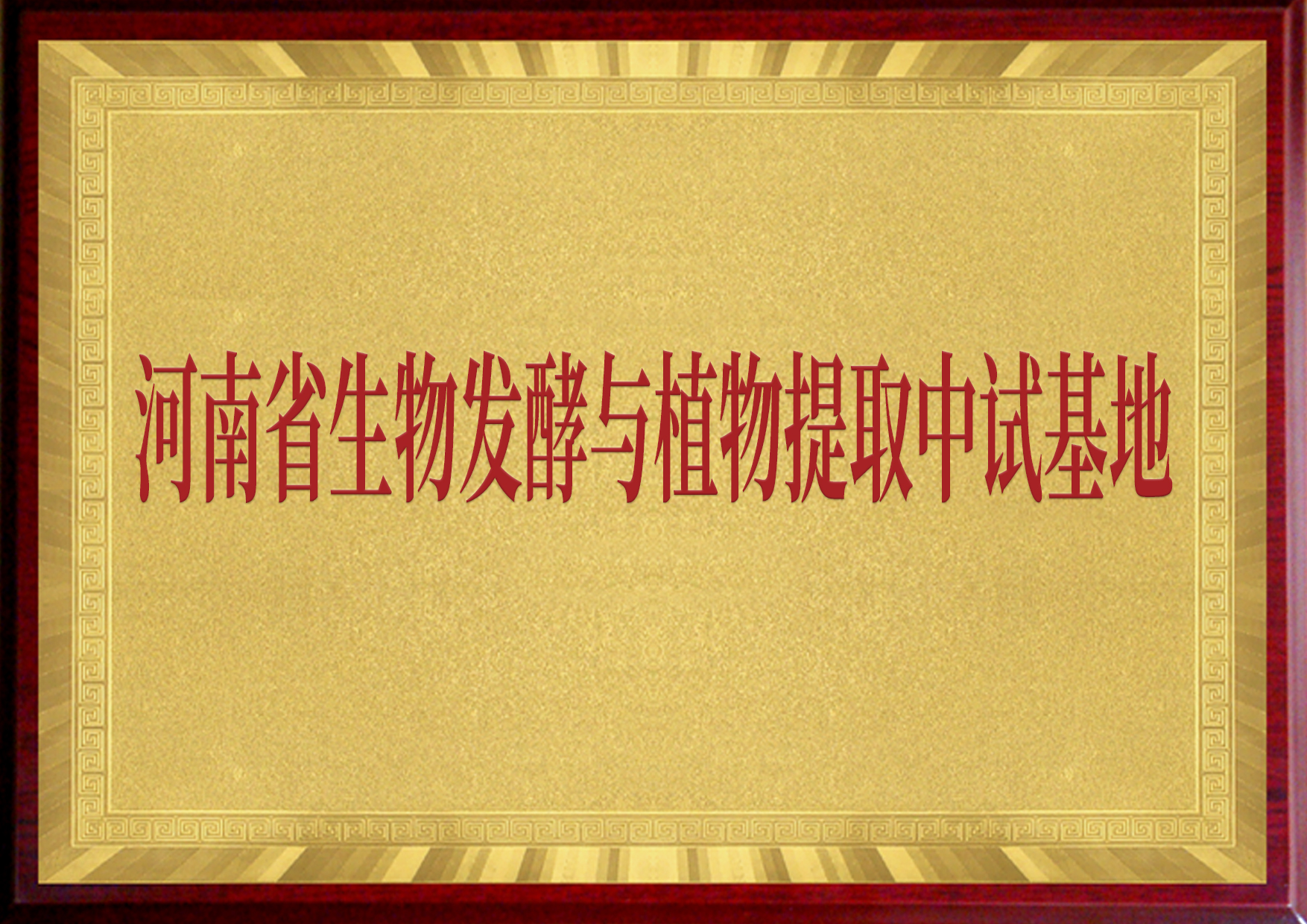 河南省生物發(fā)酵與植物提取中試基地